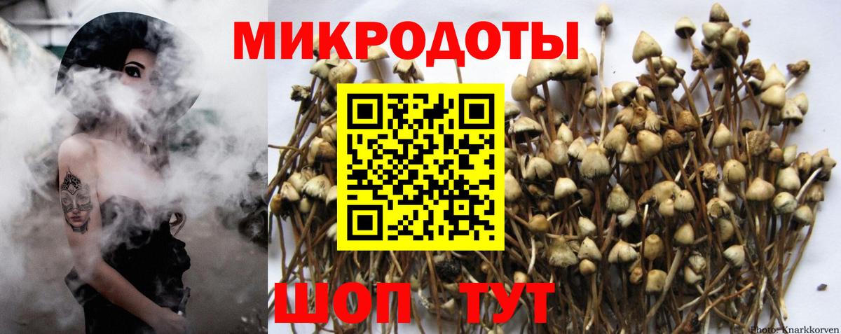 Галлюциногенные грибы мицелий Свободный